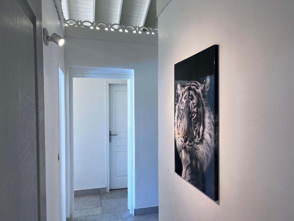 Villa Taiana Quarter of Orleans エクステリア 写真